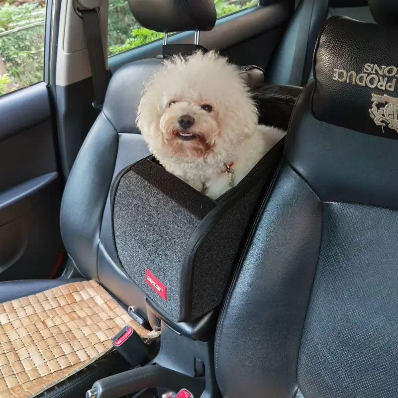 Продажа Автомобильное сиденье для собак, переноска для кошек, аксессуары для маленьких собак, дорожная сумка, Транспортная коробка для домашних жив...