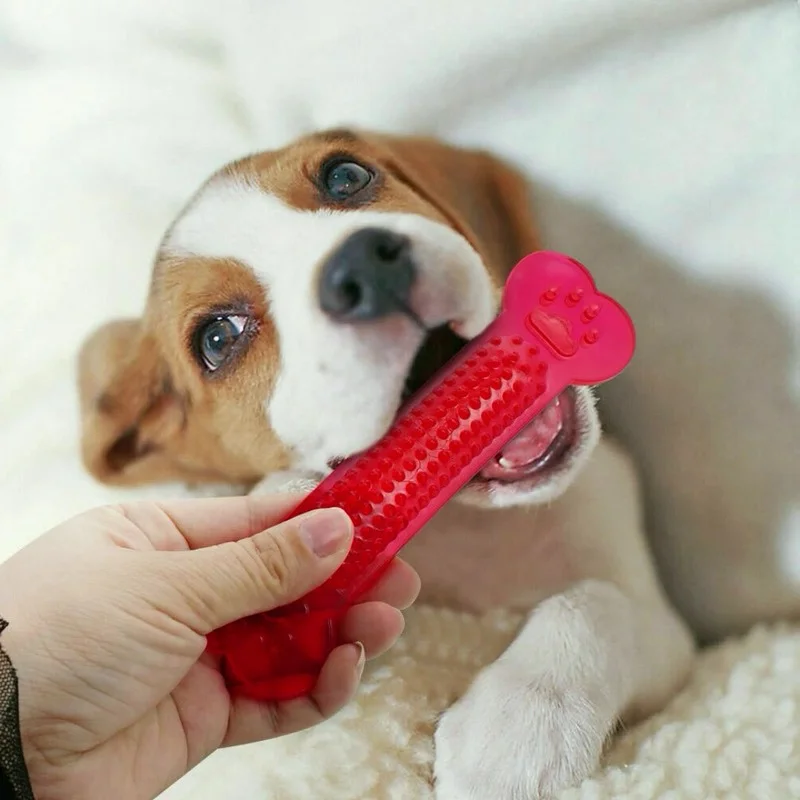 Жевательные игрушки для собак резиновые кости активная Жевательная зубная щетка