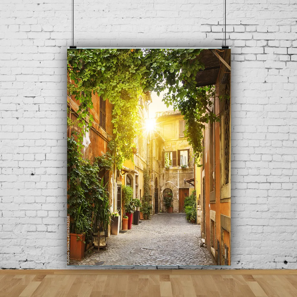 

SHUOZHIKE Old Town Street View Scenery Photography Backdrops Art Fabric Props Travel Portrait Photo Backgrounds Studio ST-01