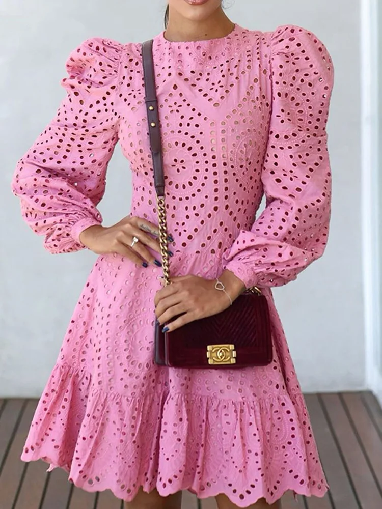 

Plain Long Sleeve Elegant Casual Hollow Out Dress Women