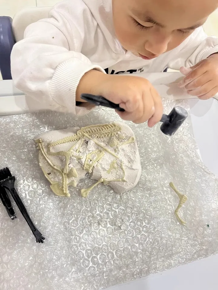 Игрушки для археологических раскопок динозавр тираннозавр Рекс окаменелость