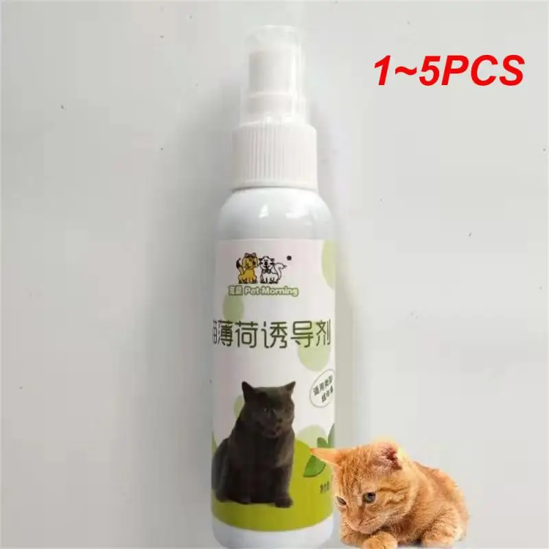 

1 ~ 5 шт. спрей для кошек из кошачьей мяты, растительный экстракт кошачьей мяты, спрей, долговечный и эффективный подарок для владельцев кошек и любителей кошек