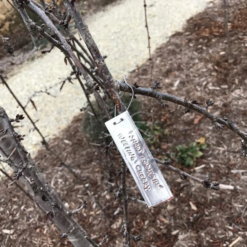 

Aluminum Tree Tags with Metal Wires Double Sided Write Plant Labels Waterproof Outdoor Plant Markers for Marking Drop Shipping