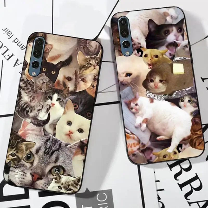 

Crying Cat Memes Phone Case For Huawei P 8 9 10 20 30 40 50 Pro Lite Psmart Honor 10 lite 70 Mate 20lite