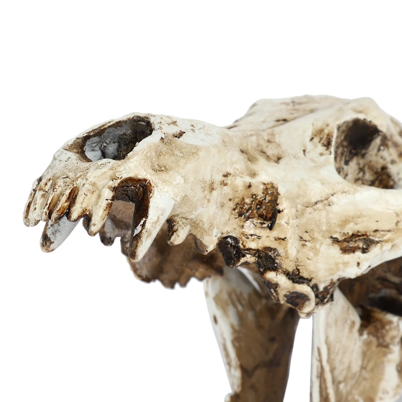 Креативная копия каучукового черепа Реплика учительской модели скелета