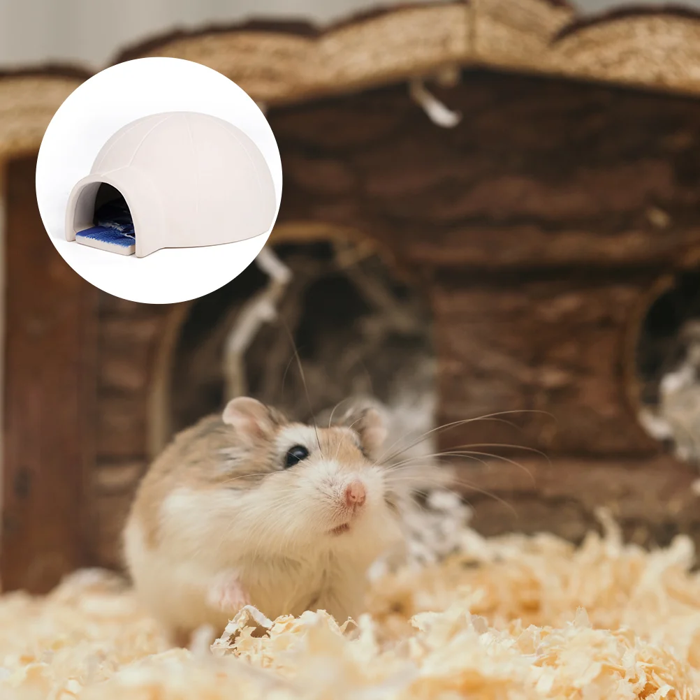 

Hamster House Pet Small Hideout Coolinganimal Ceramic Cool Bath Hut Sand Habitat Dwarf Cage Rat Cave Gerbils Bathtub Guineabed