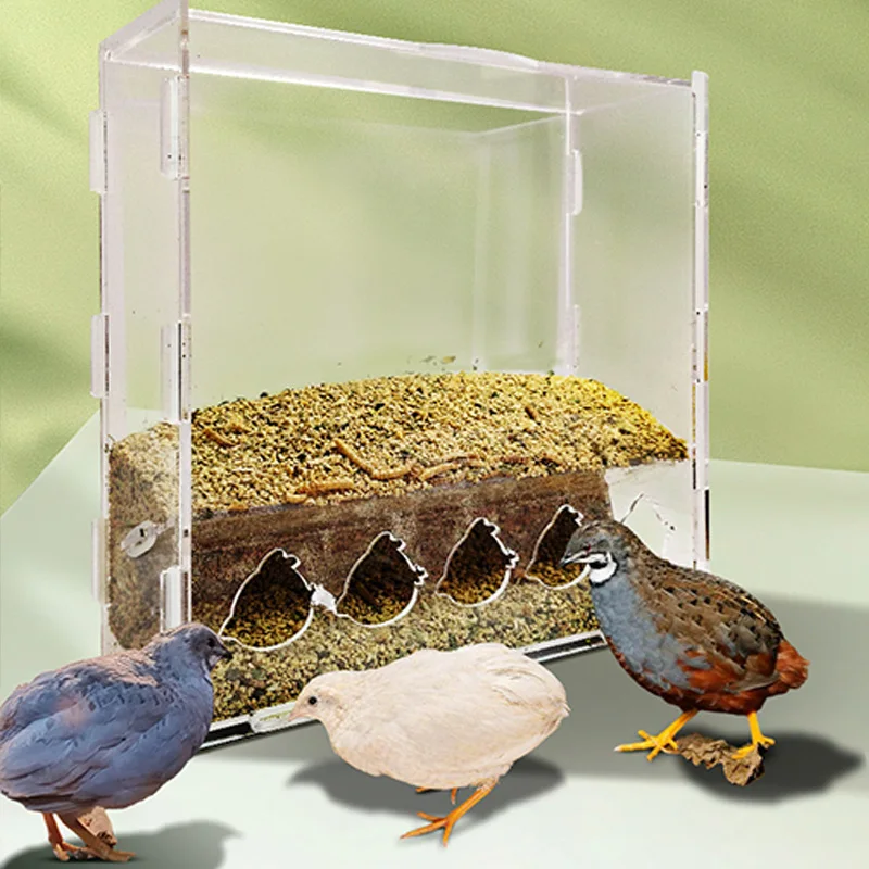 

Автоматическая кормушка для цыплят рутина, автоматический пищевой диспенсер, прозрачная пищевая коробка большой емкости, мелкие принадлежности для кормления животных