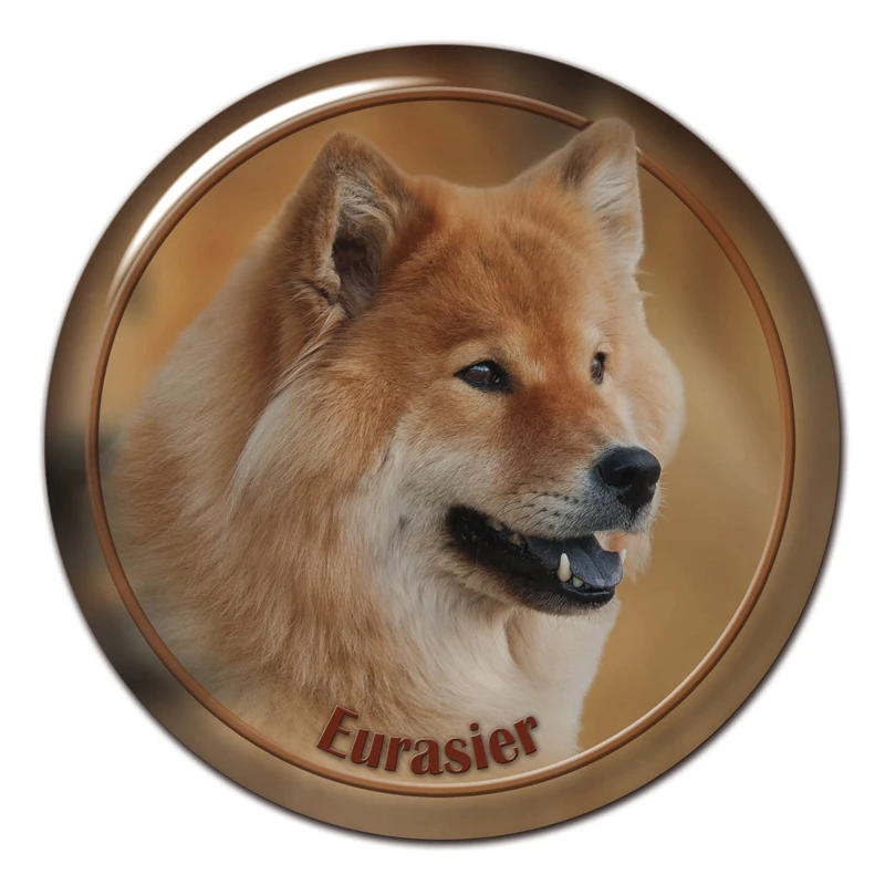 Наклейка на автомобиль Eurasier Dog V1 13 см/17 см