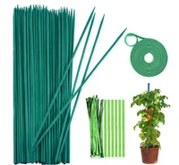 25green wood plant posts green bamboo branches flower plant support posts woody plants green bamboo sticks flower plants