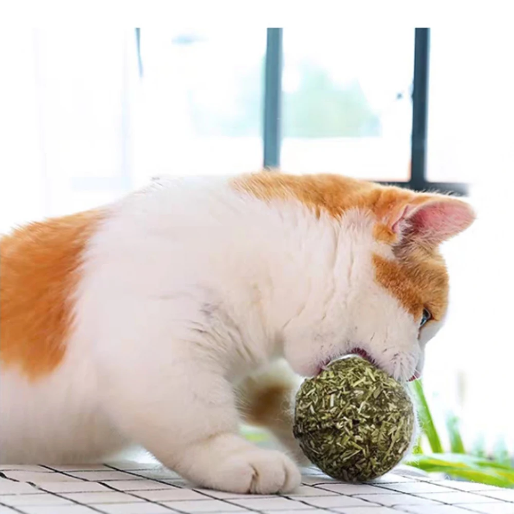 

Cat Toy Help Digestion Wall Mount Catnip Ball Cat Snack Help Digestion Tooth Molar Nutrition Ball Cats Lick Solid Menthol Balls