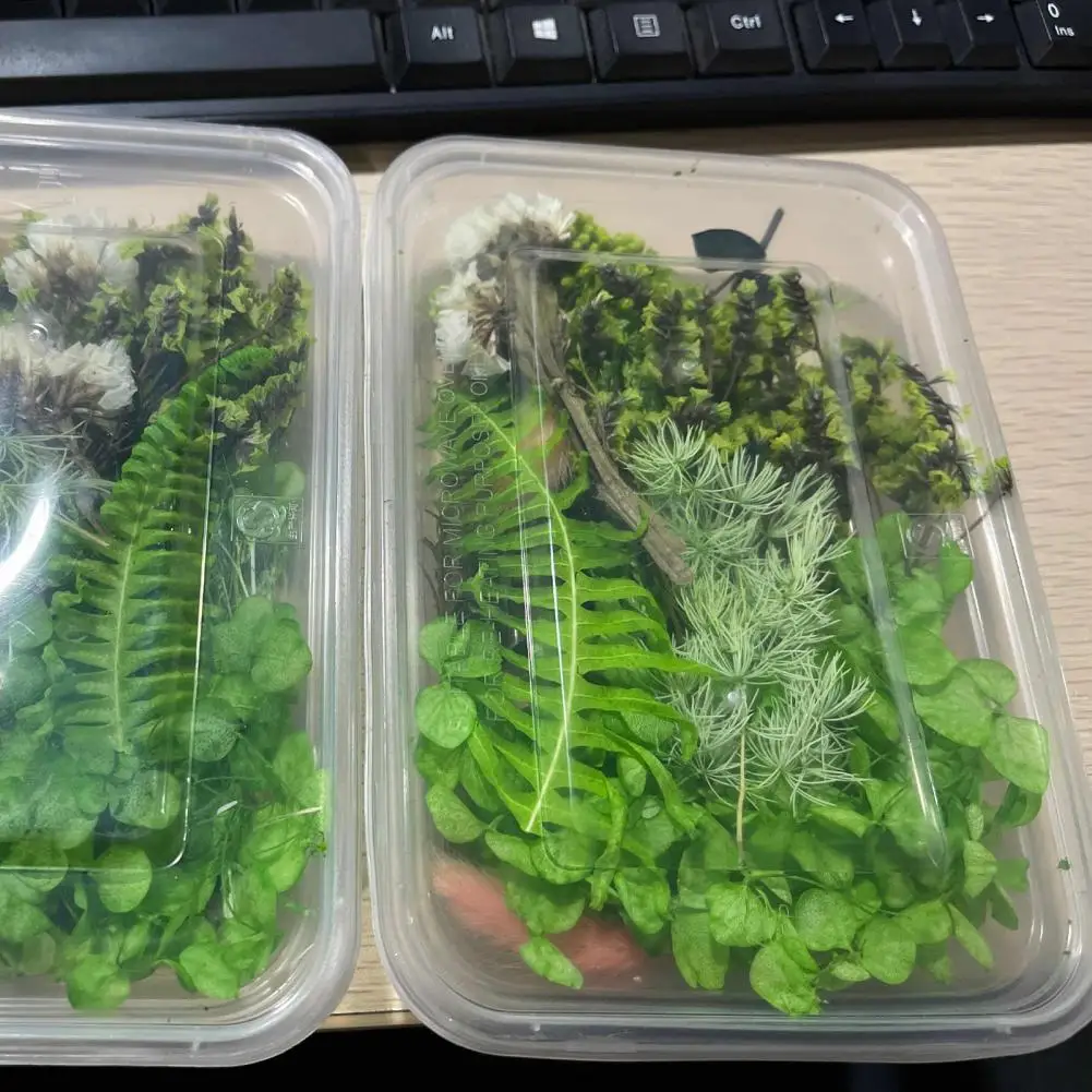 Сушеные цветы для ароматерапии подвеска из эпоксидной смолы 1 коробка