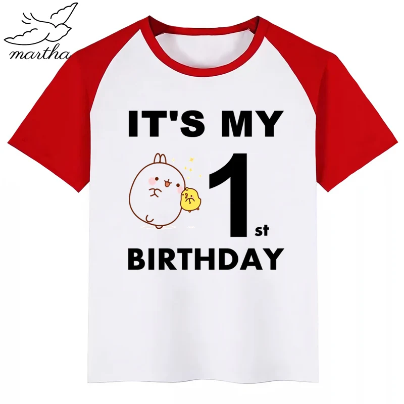 Birthday Number Boys T-Shirt Molang and Piupiu Cute Rabbit Print Kids Clothes Boy Tops Children Clothing Party Tee Shirts