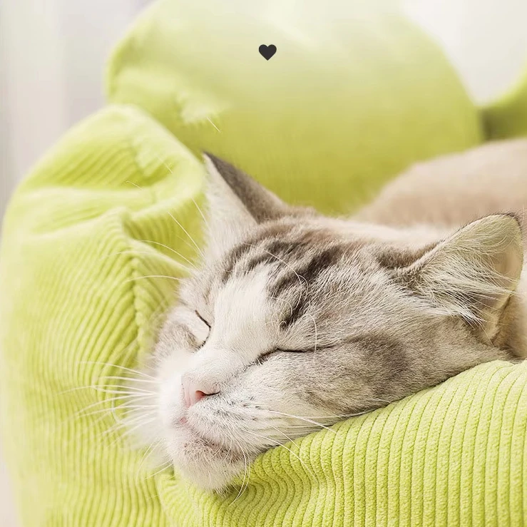 Универсальная Всесезонная Лежанка для кошек mofespop полузакрытый домик съемное и