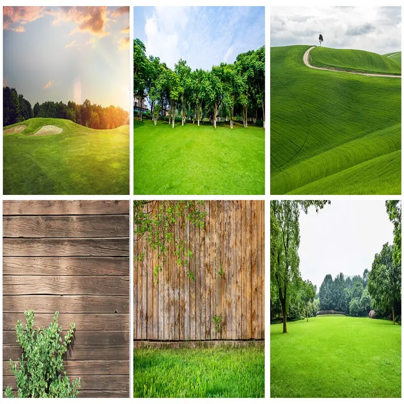 

Vinyl Natural Scenery Photography Background Green grass Forest Flower Landscape Travel Photo Backdrops Studio Props CTCD-09