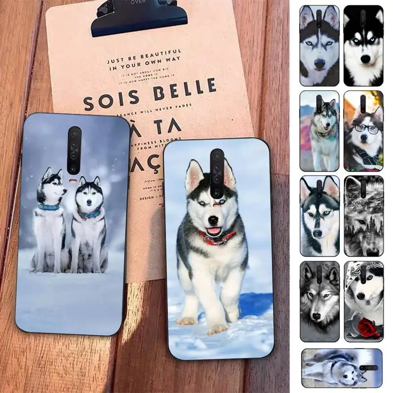 

Husky Dog Phone Case for Redmi 5 6 7 8 9 A 5plus K20 4X S2 GO 6 K30 pro