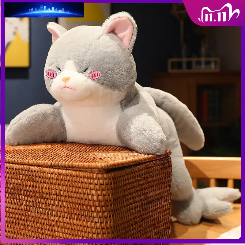 

50/70cm Sharkcat Creative Plush Cat Toy Kawaii Cartoon Shark Cat Body Soft Doll Kids Pillow Cushion Birthday Gift for Children