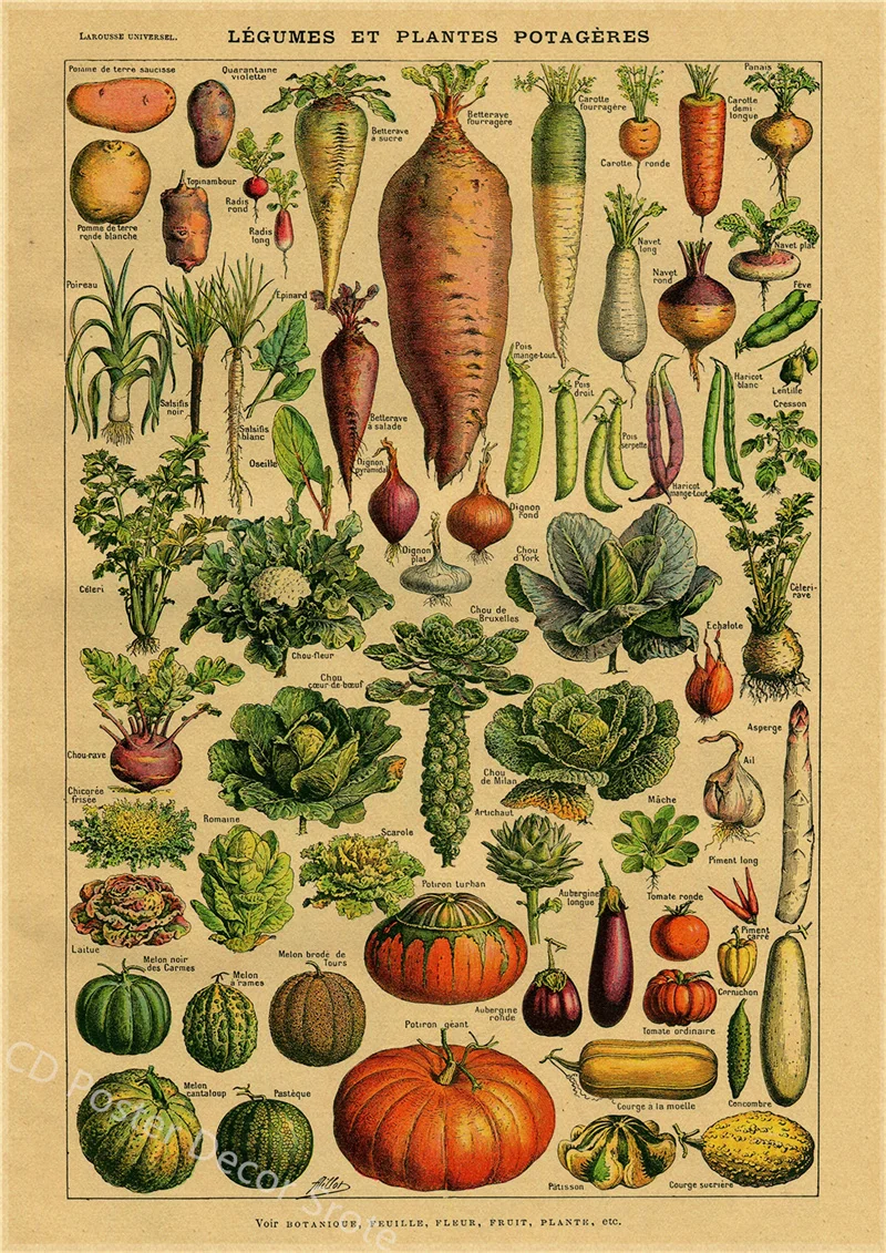 

Ботанический постер из крафт-бумаги