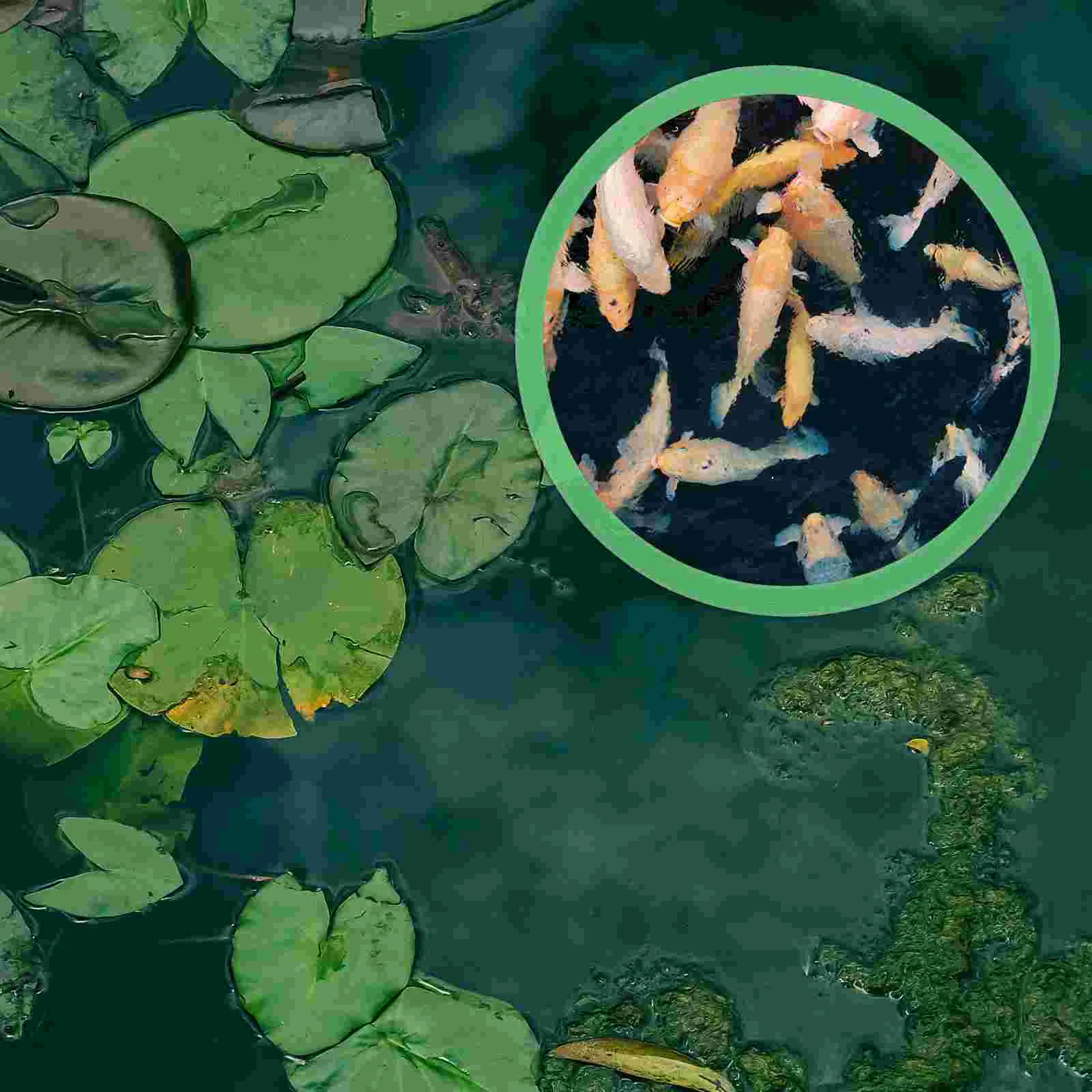 5 шт. кормушка плавающий забор для растений кольцо кормления аквариума колец из