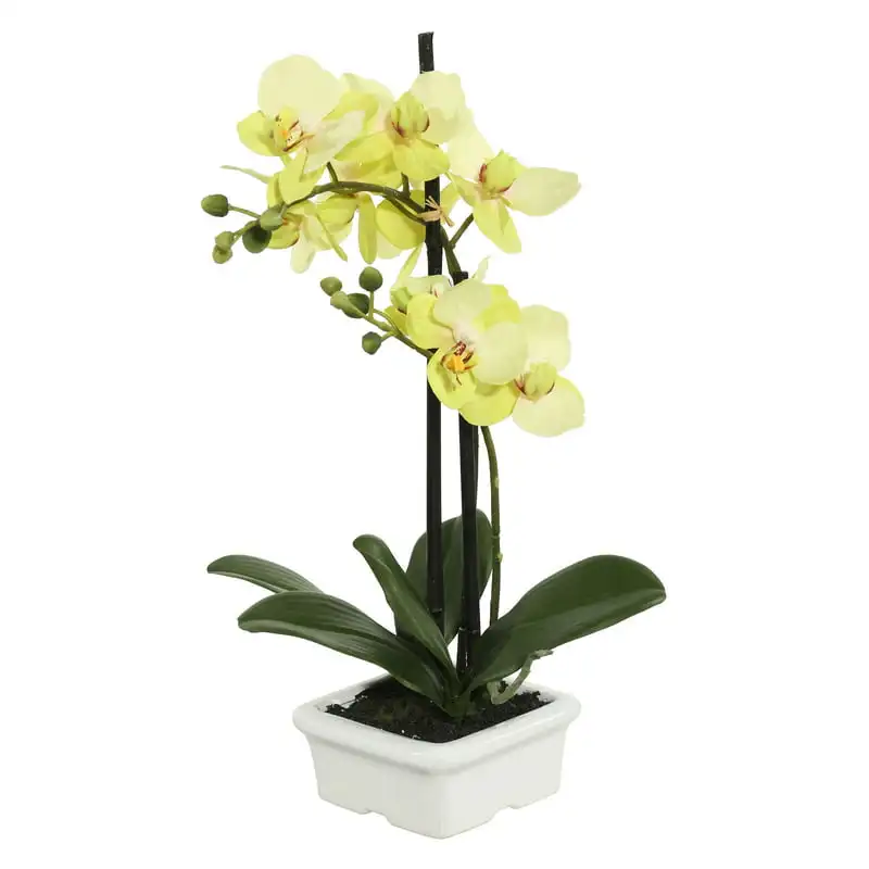 

Комнатный Искусственный Зеленый Орхидея-белый керамический контейнер-Декоративная композиция из пластика для дома или офиса-техобслуживание F