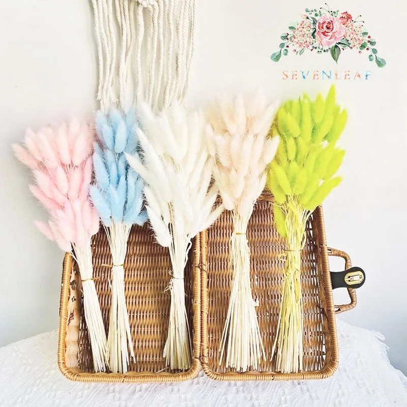 

25/50pcs Bunny Tails Dried Flowers Dried Fluffy Pampas Grass for Floral Arrangement Rustic Wedding Decoration Home Decor