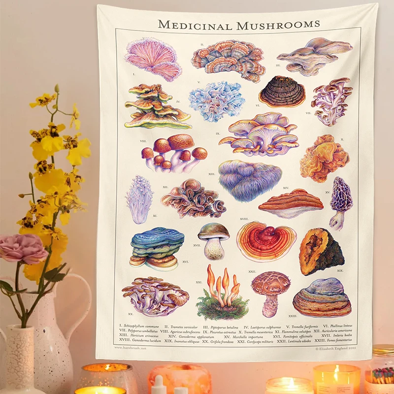 

Mushroom Tapestry Wall Hanging Botanical Floral Print Illustration Identification Chart Diagram Illustration Wall Art Boho Decor