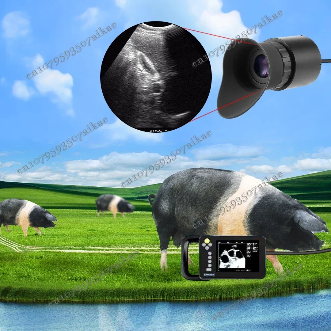 Переносной окуляр с большим экраном V760C-3 креплением на голову и поддержкой OLED 0 39