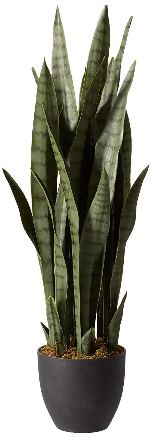 

Charming Green Sansevieria Artificial Plant in a Plastic Planter: Bring a Touch of Nature Indoors with this Natural-Looking Deco