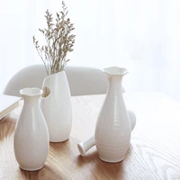 small plant ceramic flower pot designation hydroponie minimalist floor ornament indoor vasos decorativos sculpturs for home