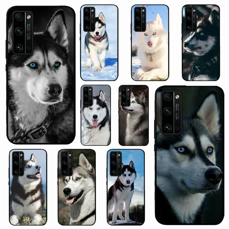 

Animal Wolf Husky Dog Puppy Phone Case for Huawei Honor 10 i 8X C 5A 20 9 10 30 lite pro Voew 10 20 V30