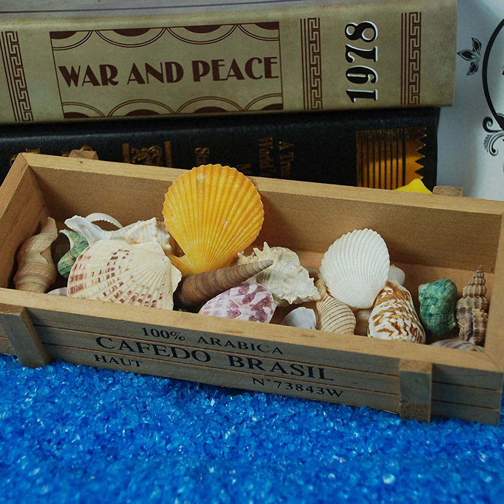 120 г/упаковка декоративные ракушки для аквариума морского океана Свадебный декор