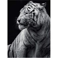 5d full drill diamond painting white tiger by number kits for adults diy diamond set arts craft decoration by a0972