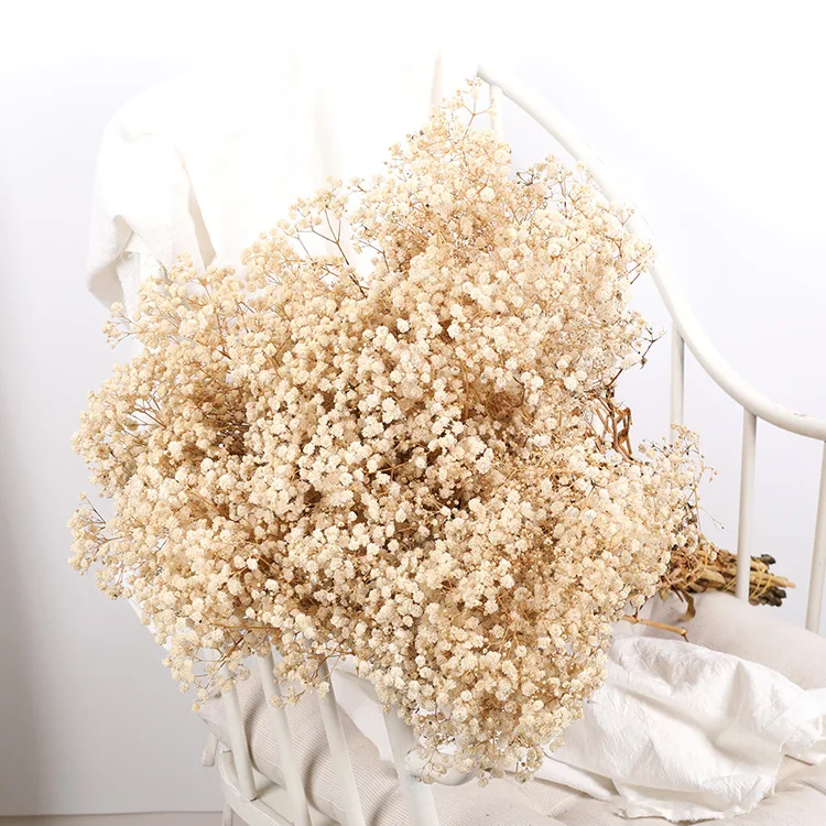 

Natural Dried Flowers Preserved Gypsophila Paniculata Wedding DIY Bouquet Decoration Arrangement Breath Nature Flower Home Decor