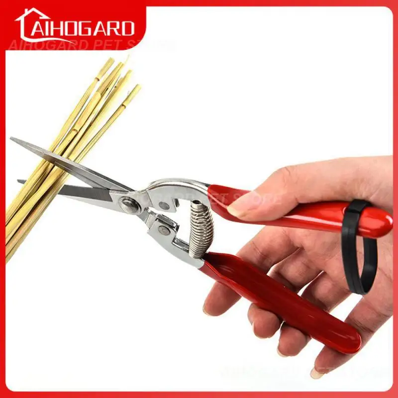 

High Quality Spring Pruning Tool Widely Applicable Garden Shears Red Stainless Steel Material Picking Shears Reinforced Rivets