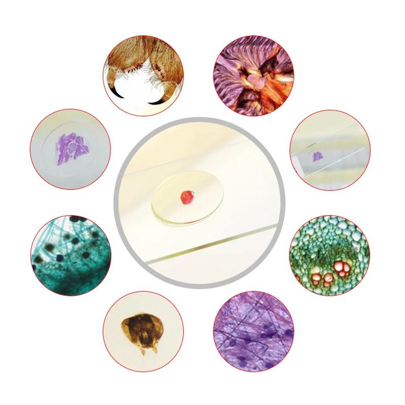 100 шт./компл. стеклянные слайды для микроскопа образец стекла подготовлено