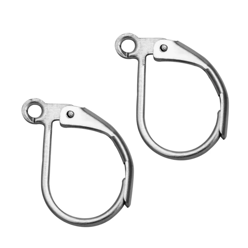 

30pcs Stainless Steel French Earring Hooks Clasps Settings Base Settings for DIY Earrings Ear Jewelry Accessories Components