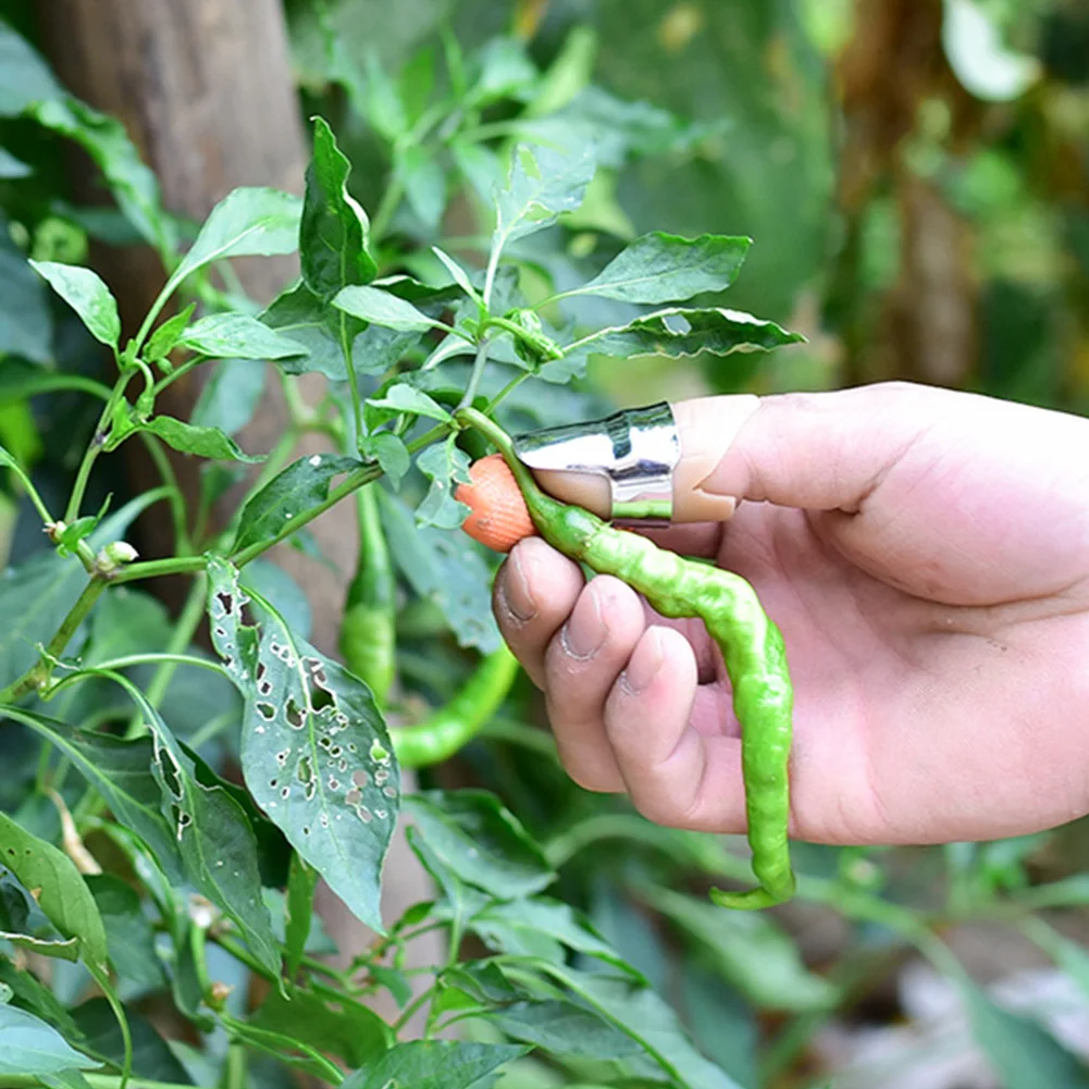 

Быстрое устройство для обрезки растений