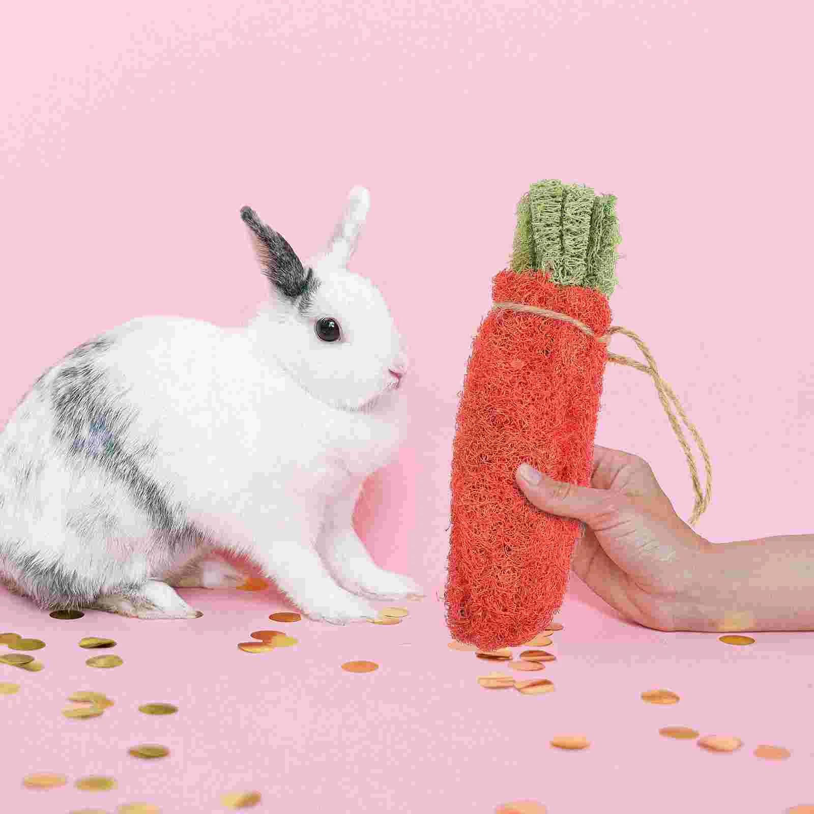 

Carrot Toy Carrots Easter Rabbit Decorations Faux Party Favors Simulation Table Mini Chew Dog Petcreative Hamsters Teeth