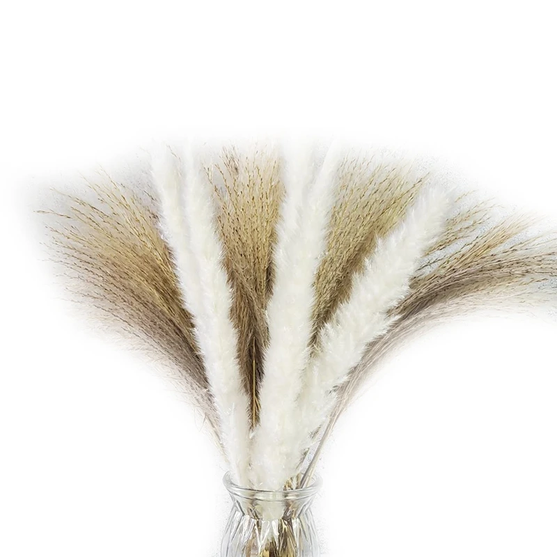 

60 Pcs 30 Pcs White Pampas & 30 Pcs Reed Grass/Natural Dried Pampas Grass For Flower Arrangements Home Boho Decor