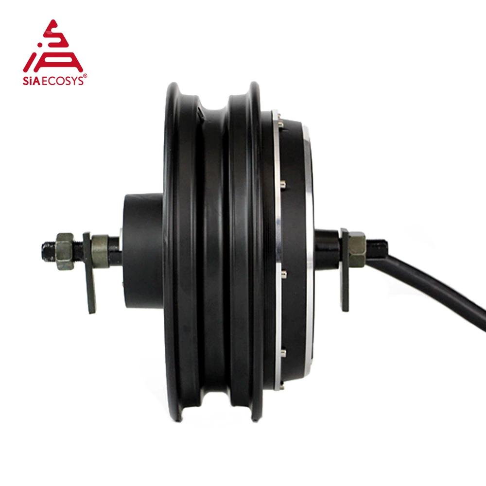 QS MOTOR 10 дюймов 212 2500 Вт V4.2 DC бесщеточный гоночный электрический мотор-концентратор