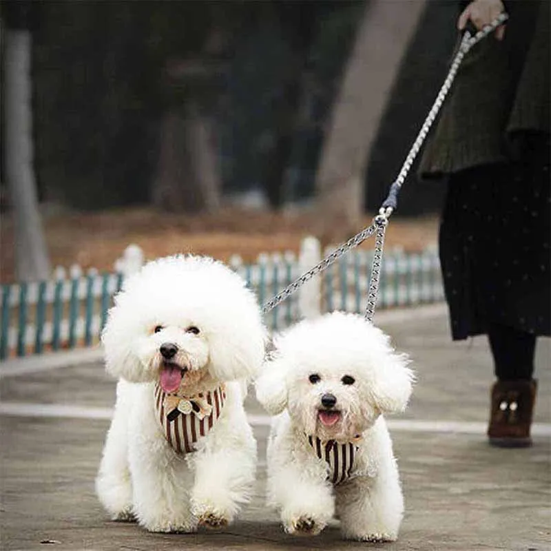 

Регулируемый двухрядный хромированный ремень из нержавеющей стали для обучения домашних животных, 40/60 см