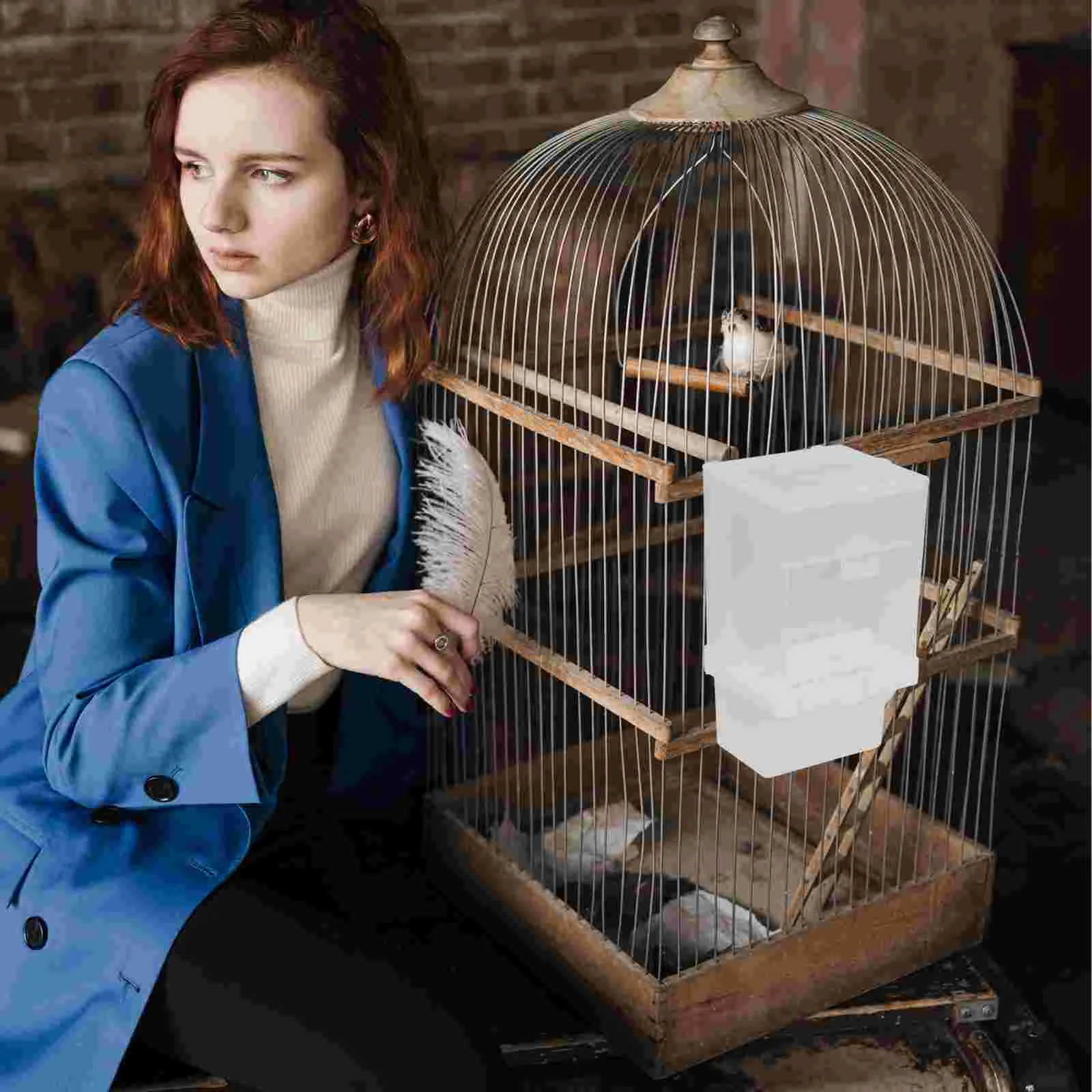 

Auto Feeder Automatic Bird Feeder Bird Feeders Bird Supplies Bird Cage Feeder Foraging Bird Feeder Automatic Feeder