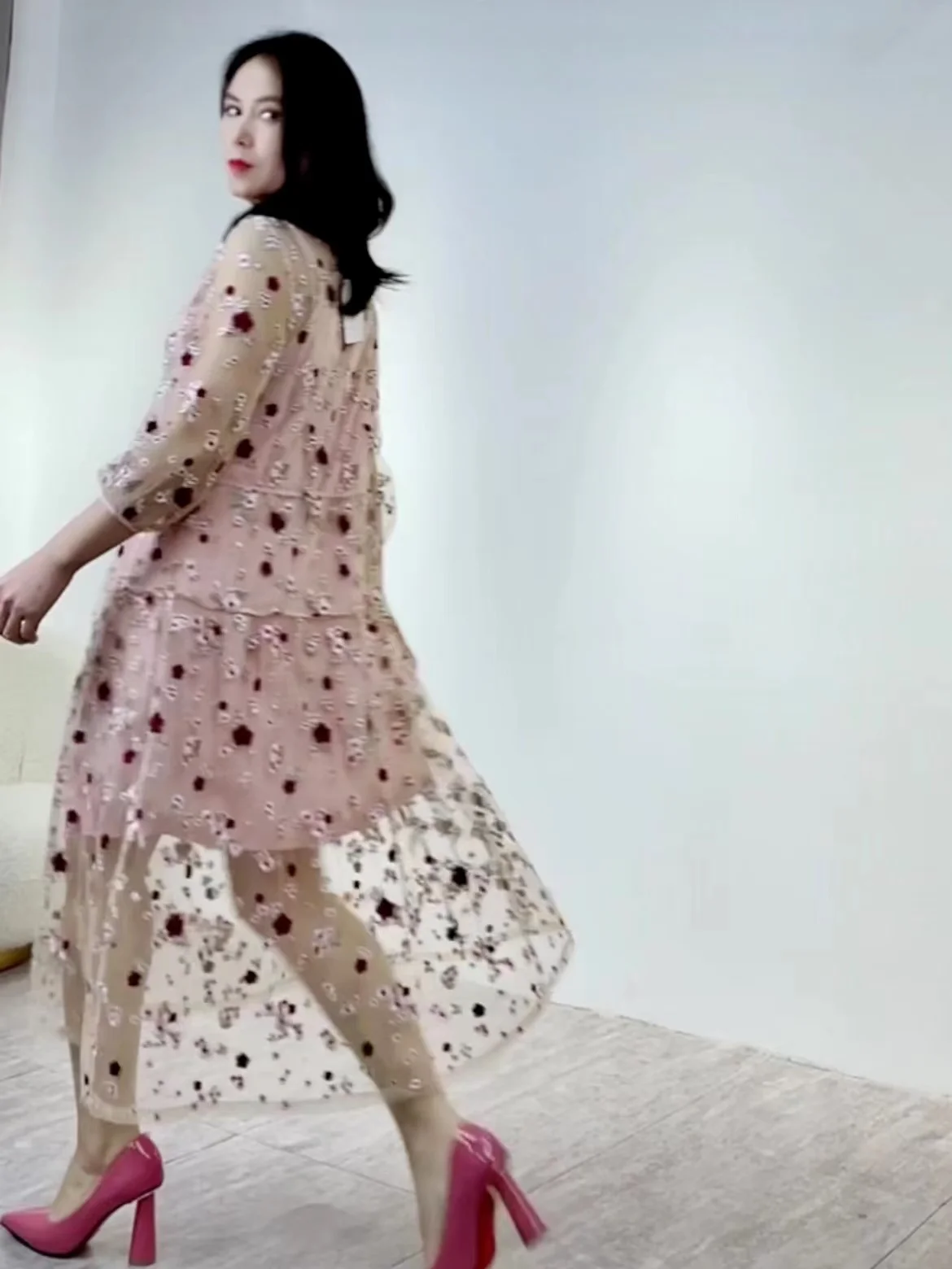 

Sheer Gauze Floral Embroidery Dress