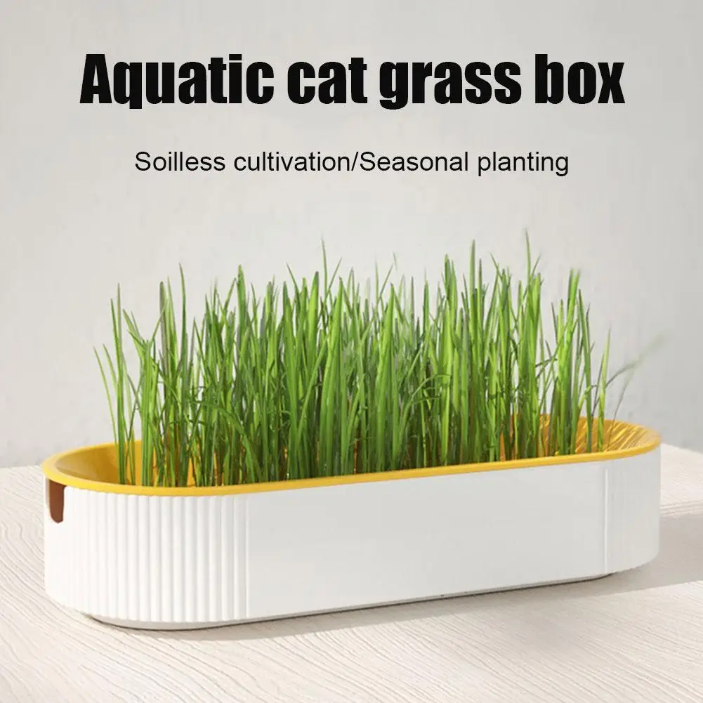 Soilless Culture Cat Grass Planting Container, Hydroponic Plants Hydroponic Planter Nursery Planting Box For Kitten Cat Gra O2D5