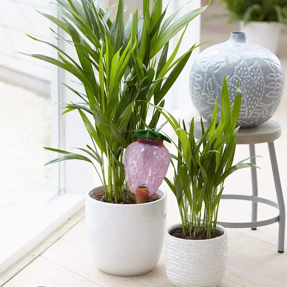 

Labor-saving Transparent Large Plant Watering Globes Garden Supplies