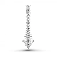 harong spine brooch silver plated medical spine surgery orthopedics pin jewelry for doctor nurse medical student practice gift