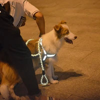 high quality elastic nylon dog reflective traction rope chest strap night reflective dog chain for dog walking running