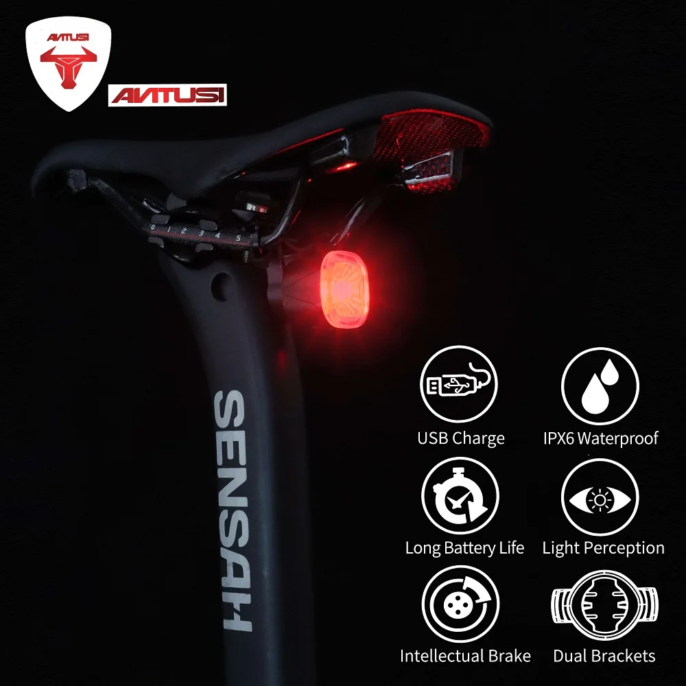 

ANTUSI Bicycle Rear Light Smart Auto Brake Sensing USB Bike Light IPX6 LED Taillight MTB Road Rechargeable Cycling Accessories