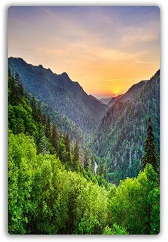 

Metal Sign Newfound in The Smoky Mountains