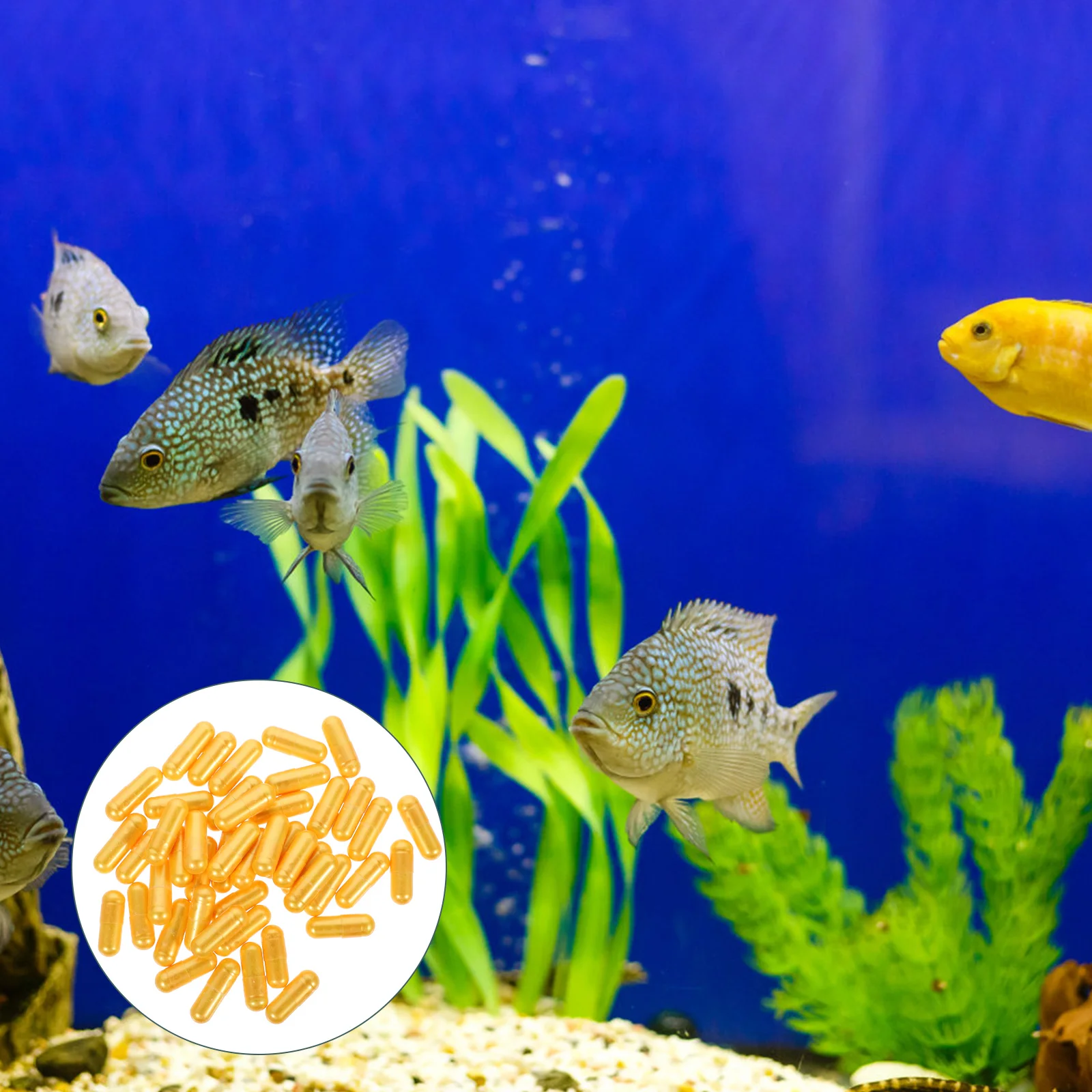 

50Pcs Practical Freshwater Aquarium Professional Water Cleaner Aquarium Purification Capsule for Fish Tank