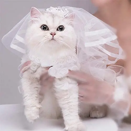 

Veil for Dogs Small Dog Pet Cat Wedding Attire Veil Dress Bride Costume Dog Hair Bow Clips Hairpin Headwear Dog Hair Accessories